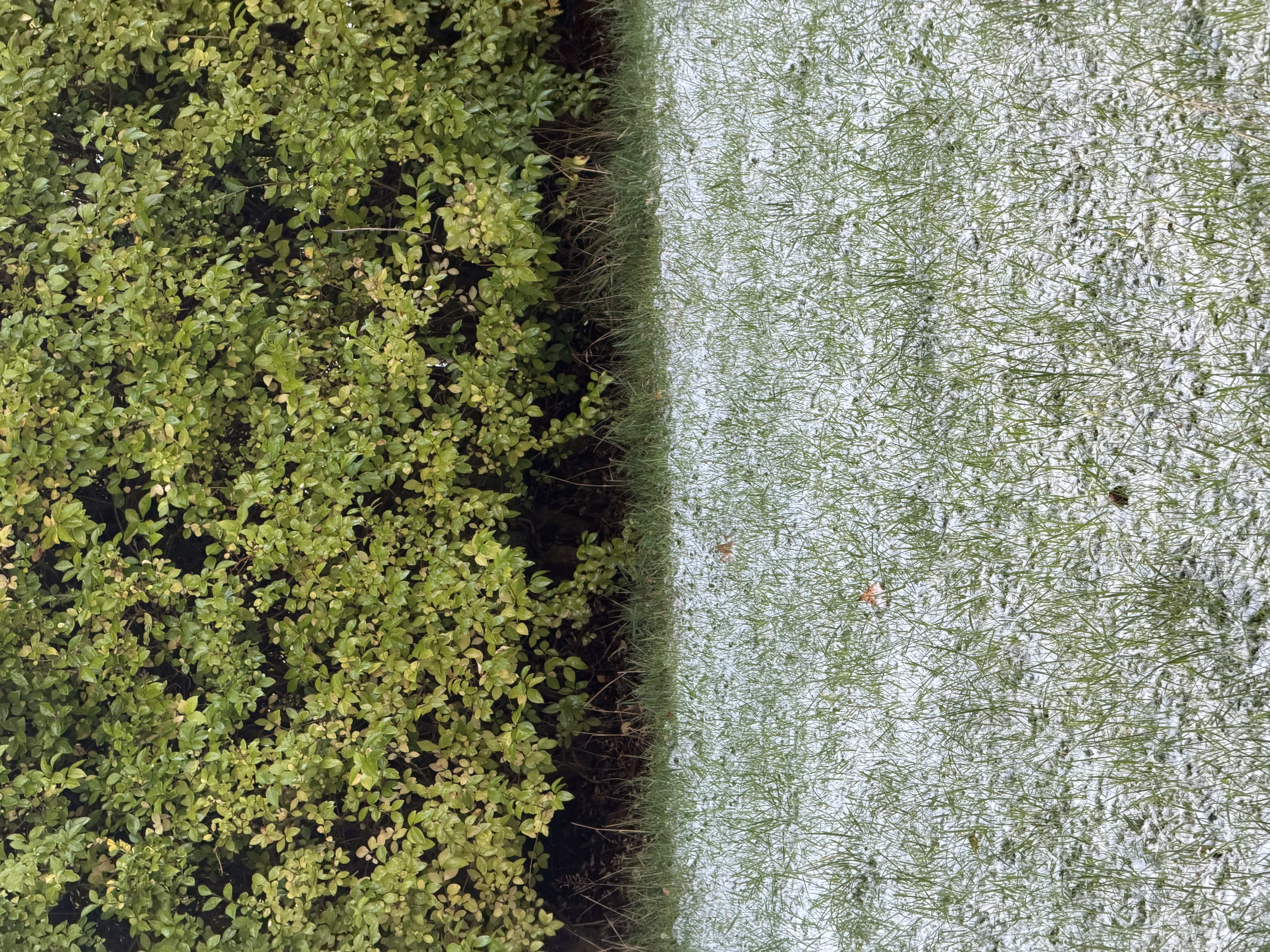 第14期 - 第一场雪