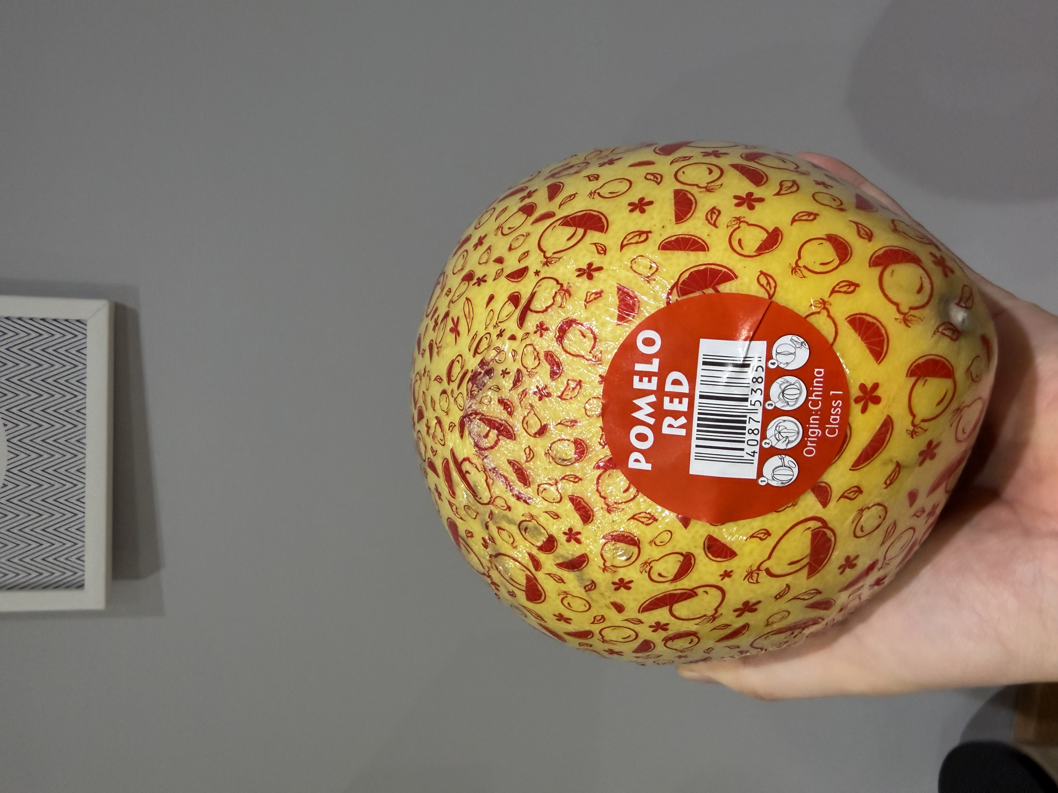 第27期 - 2026 封面