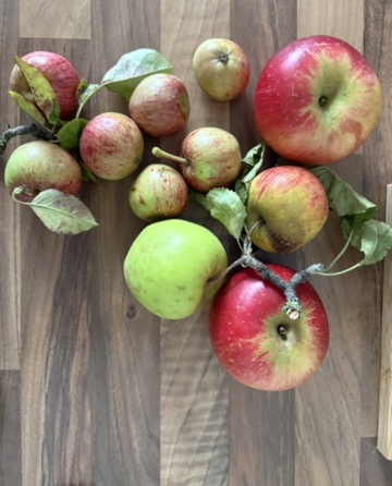 第3期 - 苹果和菜