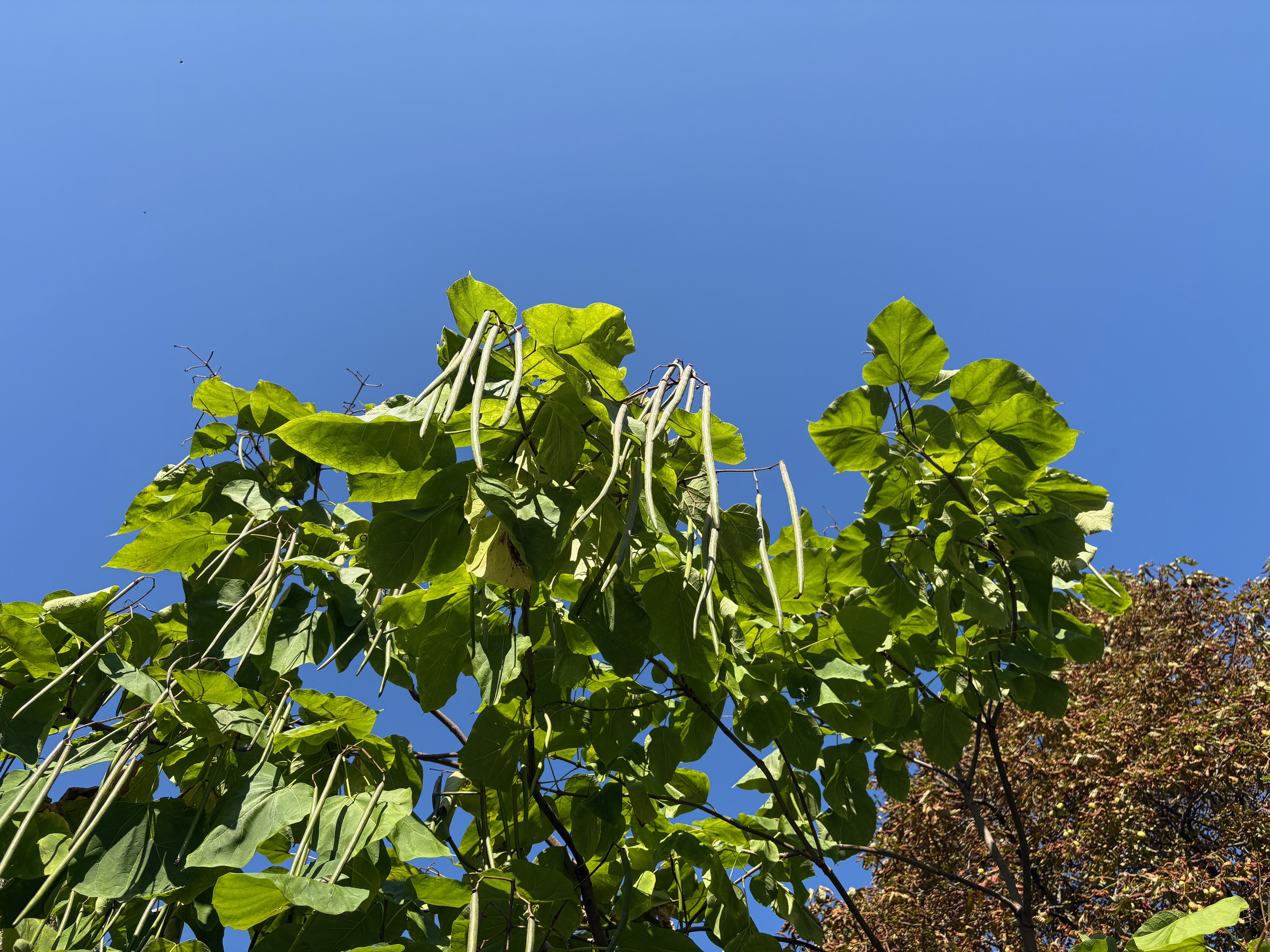 第5期 - 伦敦游记